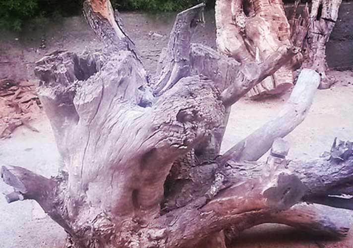 euphoria furnitures process