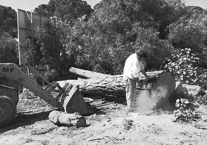 euphoria furnitures process